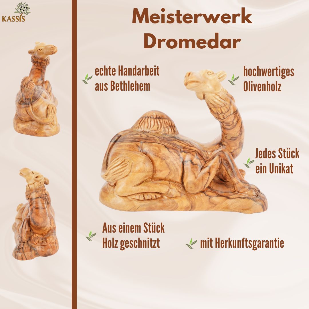Handgeschnitztes Dromedar aus Olivenholz – Kunstvolle Krippenfigur aus Bethlehem (11,5 cm)