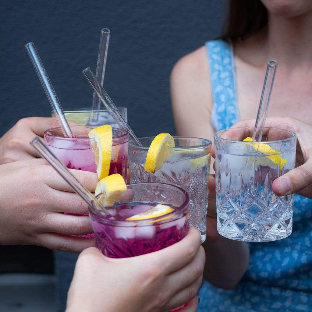 Gin Edition 6x 20cm Glasstrohhalme mit gravierten Gin-Sprüchen in Englisch