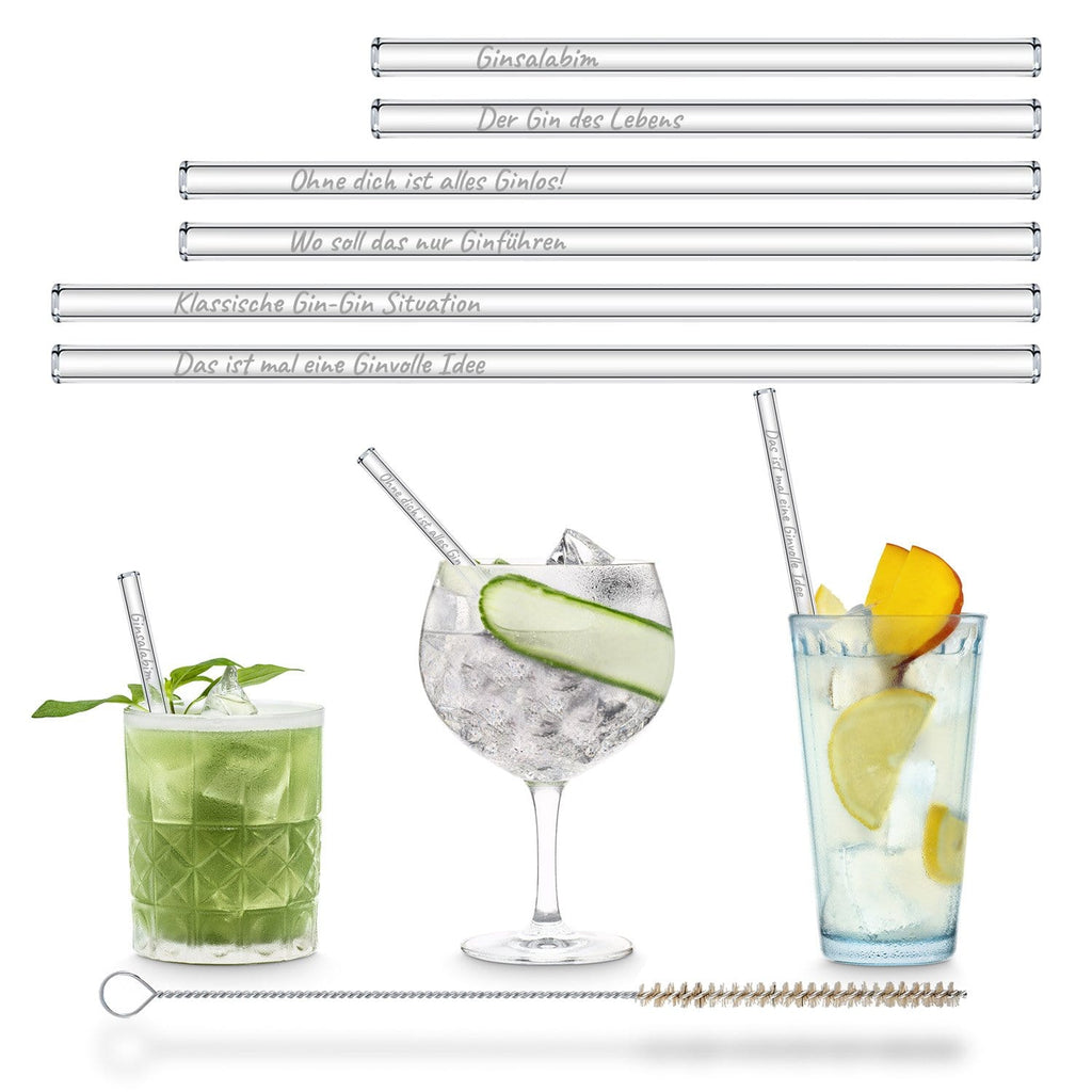 Der Gin des Lebens Edition gravierte mit 6 lustigen Gin Tonic Sprüchen