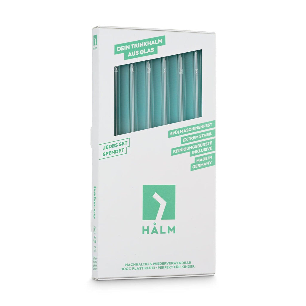 6x 23cm (Gerade) Glasstrohhalme