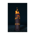 Fire barrel "Dolphin 2"